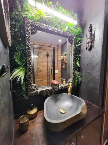 une salle de bain avec un lavabo en pierre et un miroir dans l'établissement Dormir Chez les Pirates charme & confort à 10 min de Colmar, à Sainte-Croix-en-Plaine