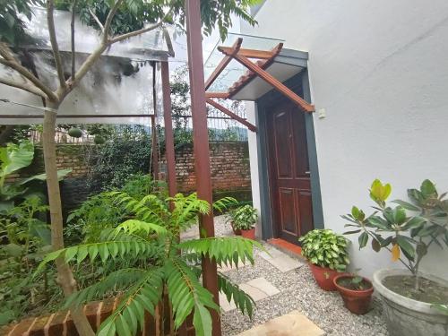 Jardín al aire libre en Uma Residency