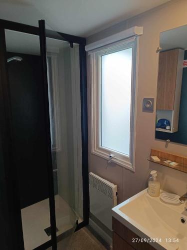 une salle de bain avec une douche et un lavabo et une fenêtre dans l'établissement le logis de la girafe, à Litteau