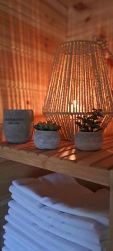 a table with two plants on it with a lamp at Lassu Tanya Vendégház in Nagykőrös
