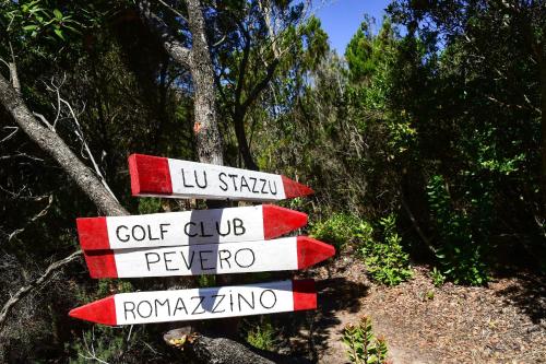 a group of street signs in a forest at Cervo Hotel,Costa Smeralda Resort in Porto Cervo