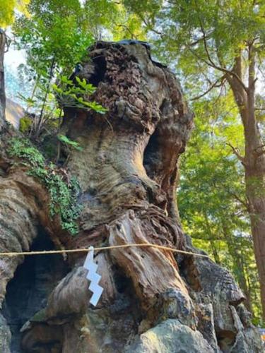 a tree stump with a white paper hanging from it at 伊豆高原-忘我庵 Cozy Ocean View Villa in Ito