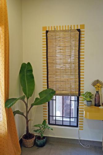 Φωτογραφία από το άλμπουμ του Vana by Loka - Nature Inspired Studios σε Auroville