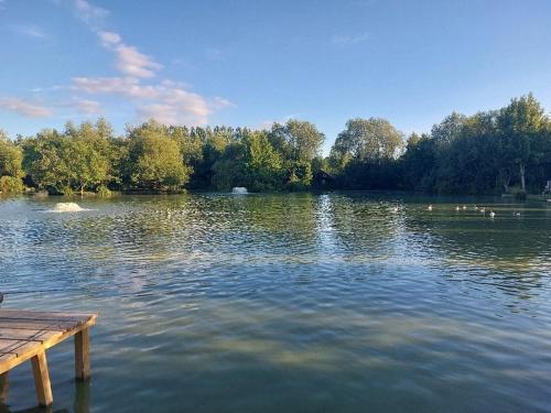a lake with a dock and ducks in the water at Yellowrush Lodge @ Yellowtop in Selby
