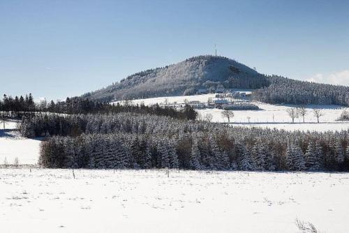 a snow covered hill with a mountain in the background at moderne Fewo Peter Bärenstein für 2 Personen in Bärenstein