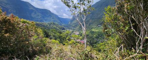 a view of a valley in the mountains at Tente haut de gamme v2 in Salazie