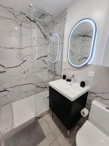 une salle de bain avec un lavabo et une douche avec un miroir dans l'établissement Élégant T2 au cœur de Cambrai, à Cambrai