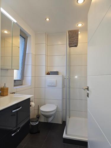 a bathroom with a toilet and a shower at FeWo an der Ostsee Nr. 1 in Rerik