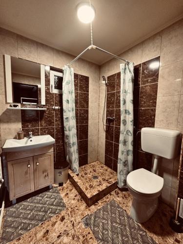a bathroom with a toilet and a sink and a shower at Cabana Scruba in Topliţa