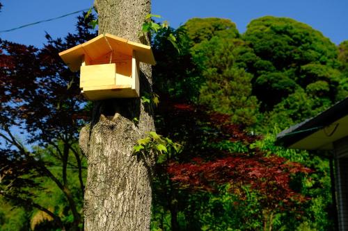 a yellow bird feeder on the side of a tree at 伊都山海渓 in Itoshima