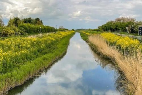 Galeriebild der Unterkunft Clares Cosy Cottage in Louth