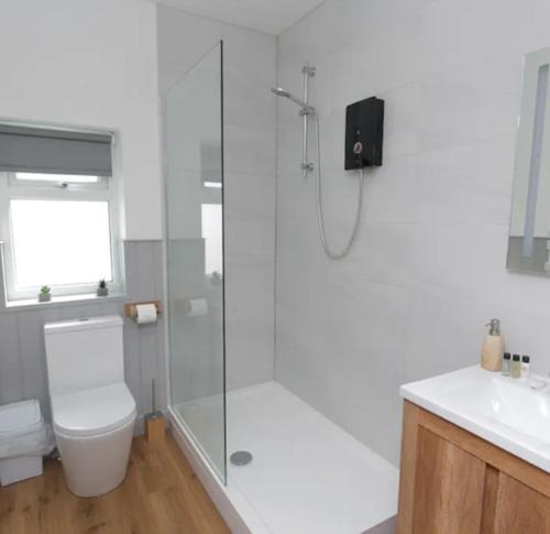 ein Badezimmer mit Dusche, Toilette und Waschbecken in der Unterkunft Adorable 1 bedroom Country Cottage in Bodewryd
