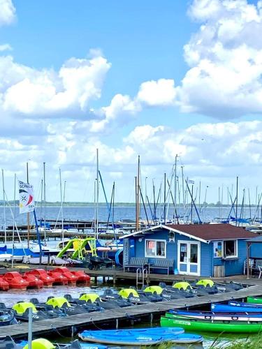 a bunch of boats are docked in a marina at Seeliebe, 300 Meter zum Wasser, mit Terrasse und Garten in Lembruch