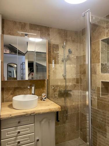 une salle de bain avec un lavabo et une douche dans l'établissement Maison au bord de l'eau, à Saint-Brieuc