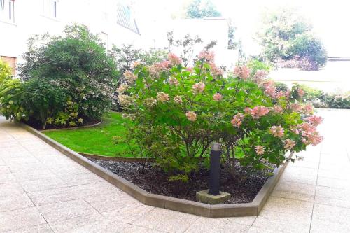 un jardin arboré de fleurs roses et de buissons dans l'établissement Studette moderne, cosy et équipée en plein cœur de Versailles!, à Versailles