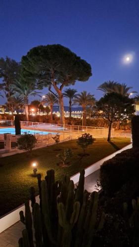 - une vue sur un parc la nuit avec un cactus dans l'établissement Ocean View Royal Palm, à Cannes