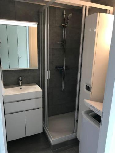 une salle de bain avec douche et lavabo dans l'établissement Studio Arcachon, à Arcachon