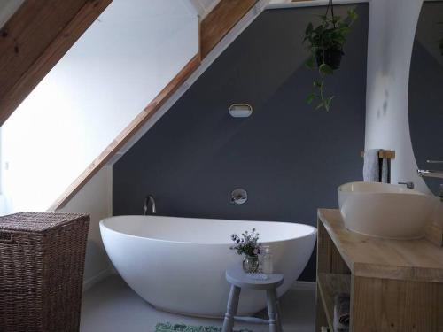 Un baño con una gran bañera blanca y un lavabo. en Hidden gem in bush 350m from main beach, en Bettyʼs Bay