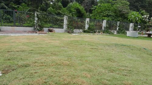 a child laying in a yard next to a fence at Simple Home Taiping 简居 @ Suria Aman in Kamunting