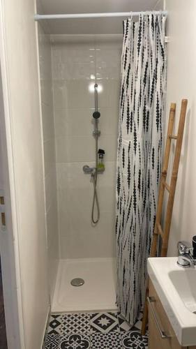 La salle de bains est pourvue d'une douche et d'un sol noir et blanc. dans l'établissement Appartement sur mezzanine, à Villetaneuse