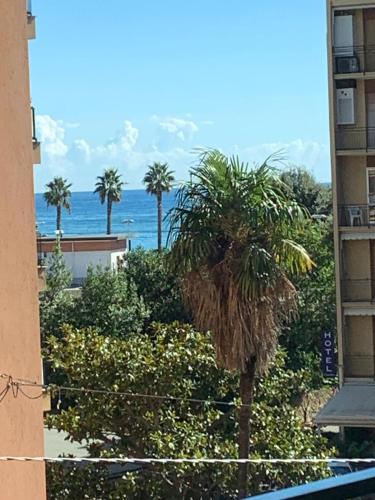 a palm tree in front of a building with the ocean at Casa di Leo in Loano