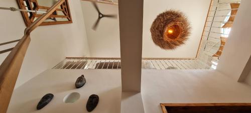 a room with a bird nest and shoes on the wall at Dar Inès in Tangier
