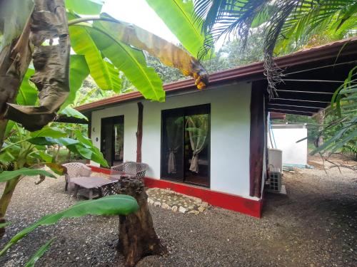 Zahrada ubytování Villas jungle 5