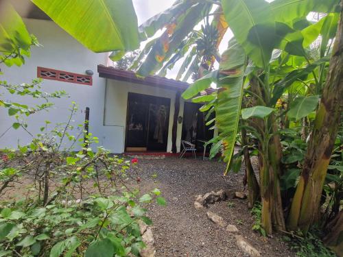 Zahrada ubytování Villas jungle 5