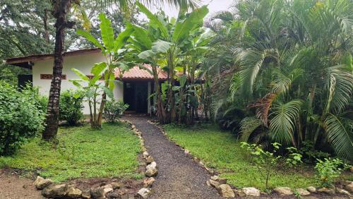 Zahrada ubytování Villas jungle 5