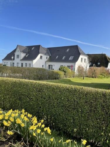 a white house behind a hedge with yellow flowers at Deichhof Whg 23 in Dunsum