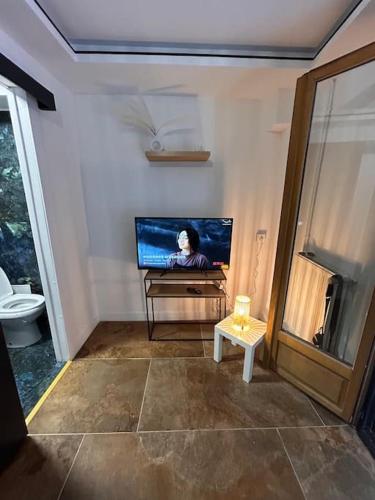 a room with a tv in the corner of a bathroom at Petit studio et son spa abrité in Nancy