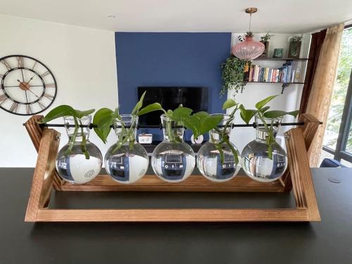 a group of glass vases sitting on a shelf at The Urban Green! Cosy luxury apartment in Chiswick in London