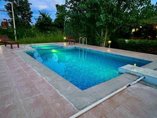 a swimming pool in a yard with two chairs next to it at Grand Narmada Jungle Homestay Resort-Bandhavgarh in Tāla