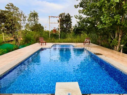 a swimming pool with two chairs sitting on a wooden deck at Grand Narmada Jungle Homestay Resort-Bandhavgarh in Tāla