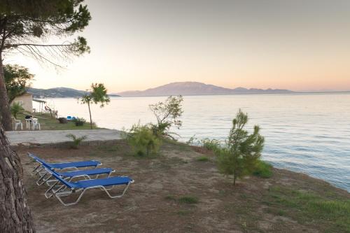 Foto dalla galleria di Potamitis House a Alykes