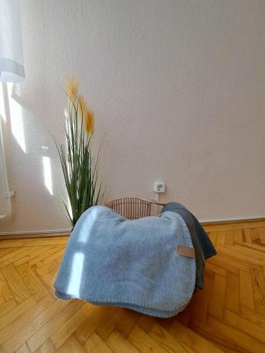 Galeriebild der Unterkunft Sophia Apartment Buda by the Danube with AC in Budapest
