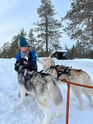Domácí mazlíčci ubytovaní s hosty v ubytování Arctic Ranch