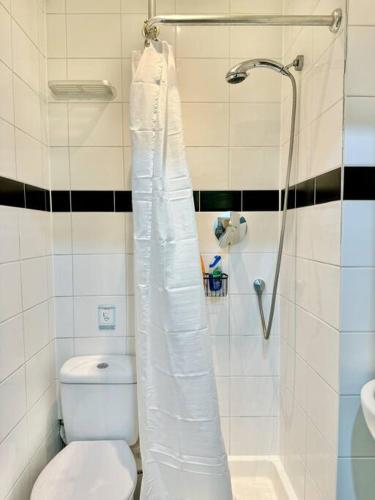a bathroom with a toilet with a shower curtain at The Studio At Athol House in London