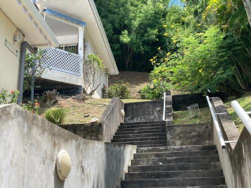 Un jardín fuera de Belfond-Tropical