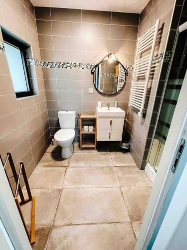 une salle de bain avec toilettes, lavabo et miroir dans l'établissement La Bigourdane - Maison entre Tarbes & Lourdes, à Louey