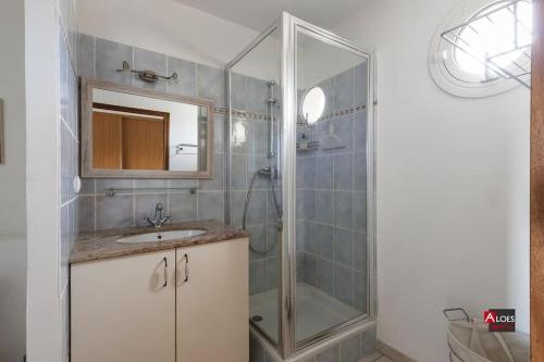 une salle de bain avec une douche, un lavabo et un miroir dans l'établissement Marina Port du Roy, à Aigues-Mortes