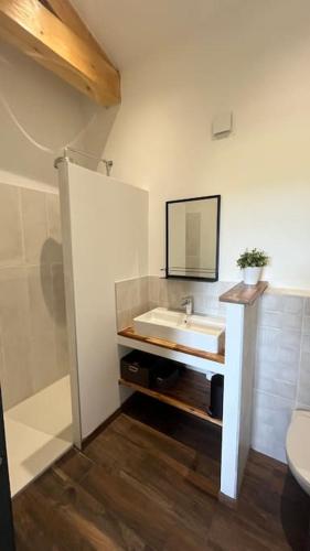 a bathroom with a sink and a toilet at La grange de la Bâtie in Fay-le-Clos