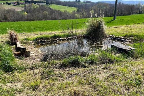 a pond in a field with a bench in the grass at La grange de la Bâtie in Fay-le-Clos