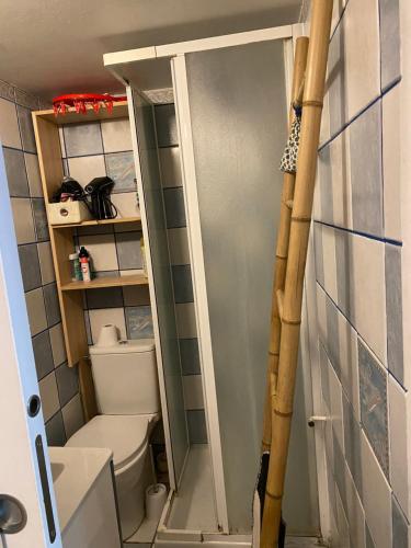 une petite salle de bain avec toilettes et douche dans l'établissement Appartement cosy proche Tour Eiffel, à Paris