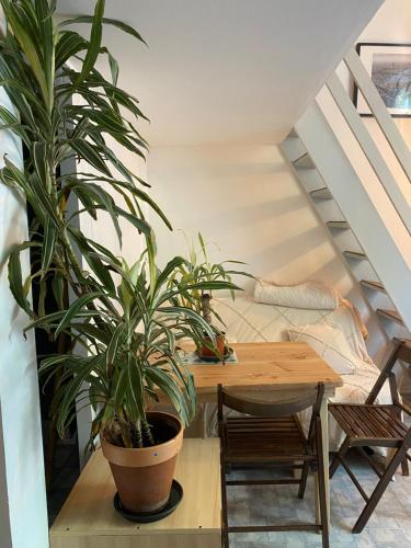 une salle à manger avec une table et une plante en pot dans l'établissement Appartement cosy proche Tour Eiffel, à Paris