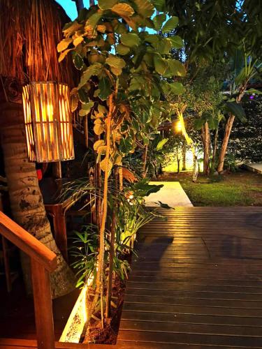 a small tree on a wooden path with a light at Recanto de Ibiza in Pipa