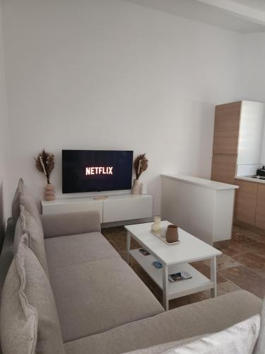 een woonkamer met een bank en een tv bij Maison "COSY" avec Parking Privé et Climatisation in Nîmes