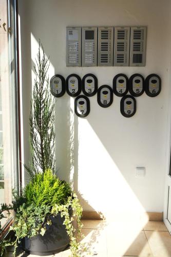 a room with a bunch of clocks on the wall at Morava 309 Uherské Hradiště Šafaříkova 855 in Uherské Hradiště