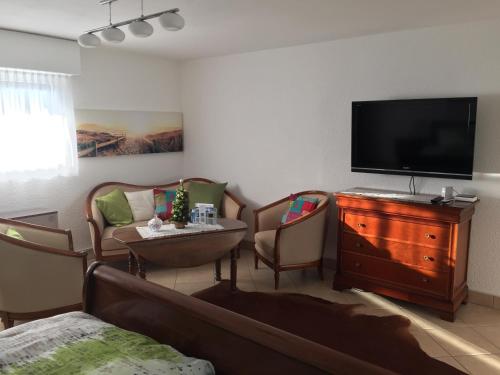 uma sala de estar com um sofá e uma TV de tela plana em Magie Du Léman em Blonay