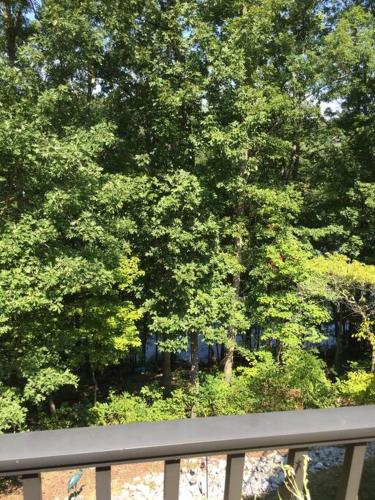 Gallery image of Beautiful Lakeside suite with private entrance in Loudon